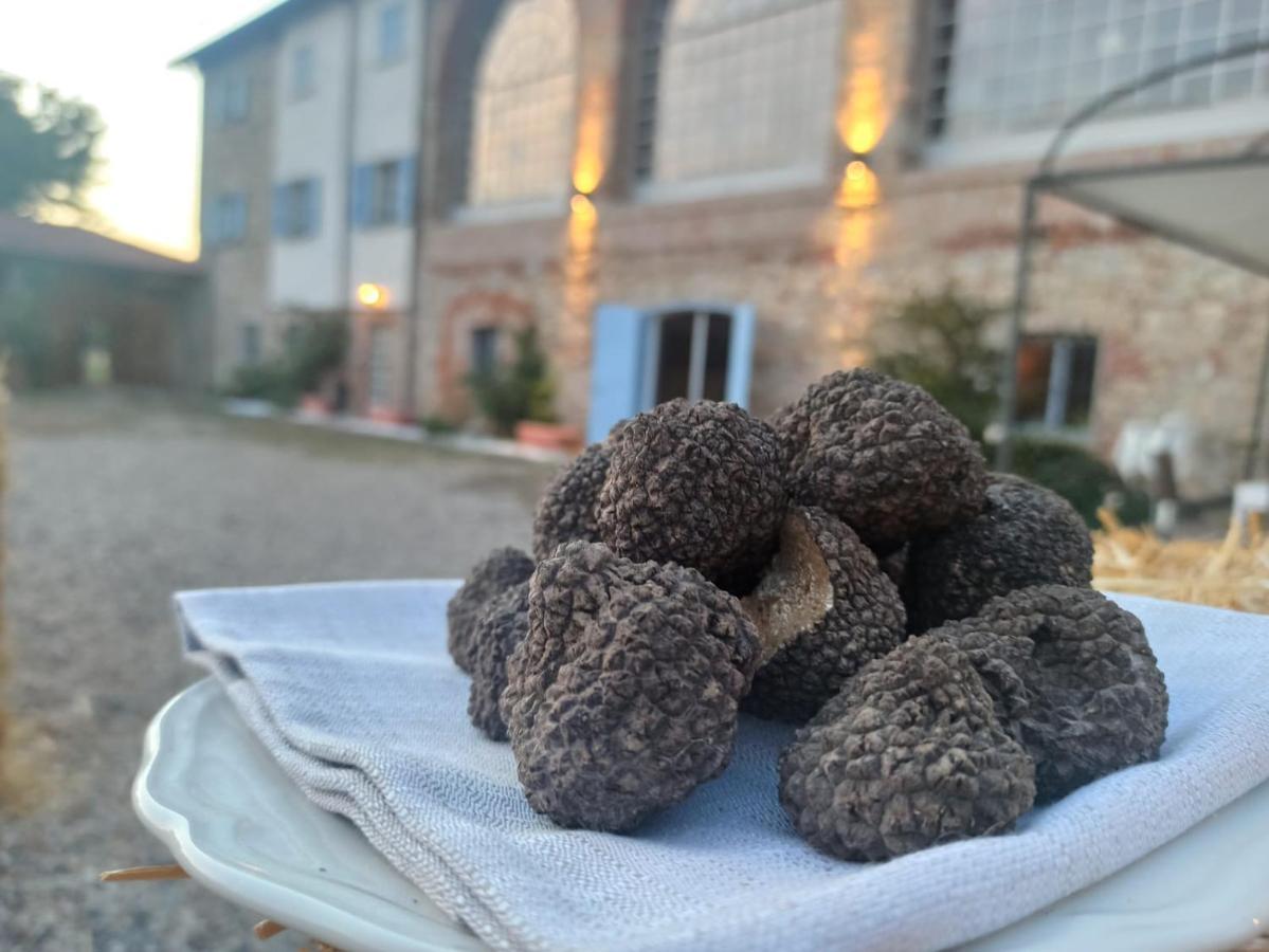 Tenuta San Giorgio セッラヴァッレ・スクリーヴィア エクステリア 写真